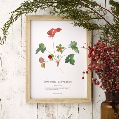 Quadro com ilustração de planta Morango Silvestre e vaso com bagas vermelhas