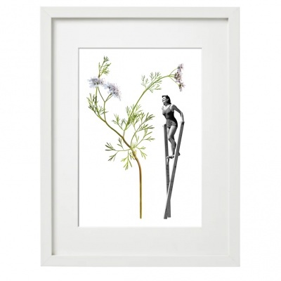 Moldura branca com artwork de planta e figura humana a preto e branco