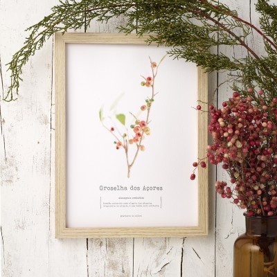 Pôster com ilustração botânica e texto em moldura de madeira clara