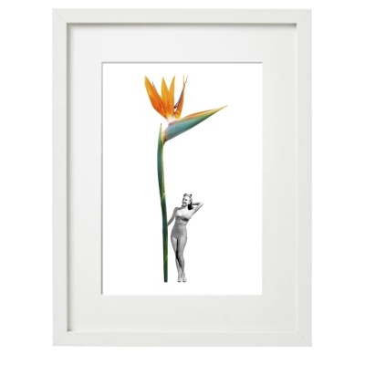 Quadro branco com imagem de flor de pássaro-do-paraíso e figura feminina em preto e branco