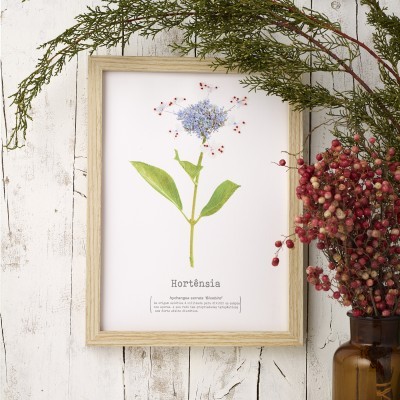 Quadro botânico de hortênsia com moldura de madeira e decoração de ramos com bagas