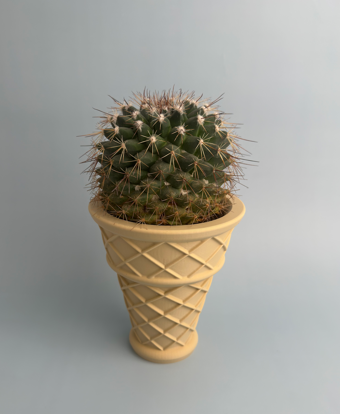 Cacto verde com espinhos num vaso cerâmico bege formato cone com padrão cruzado