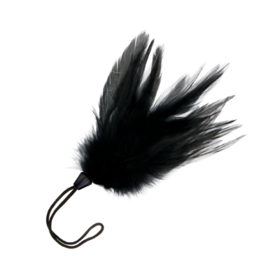 Leque de penas pretas com cabo e cordão