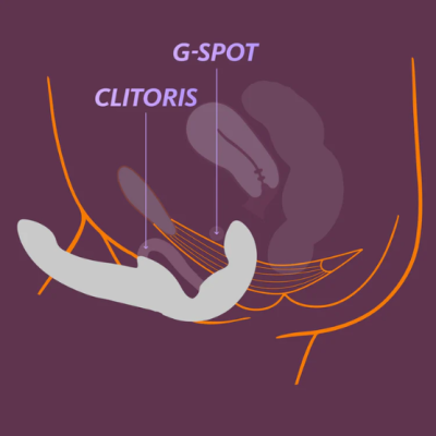 Diagrama anatômico mostrando G-SPOT, CLITORIS, e um objeto cinza em fundo roxo.