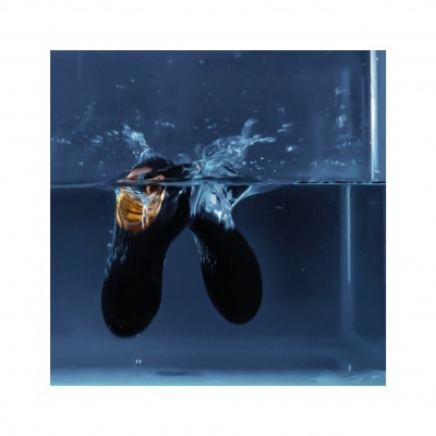 Garrafa de vidro castanha parcialmente submersa em água num recipiente transparente