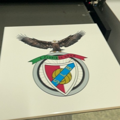 Impressão de emblema com águia e escudo colorido
