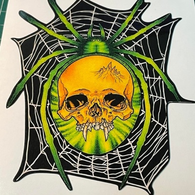 Autocolante de aranha com crânio sobre teia, verde, amarelo e preto