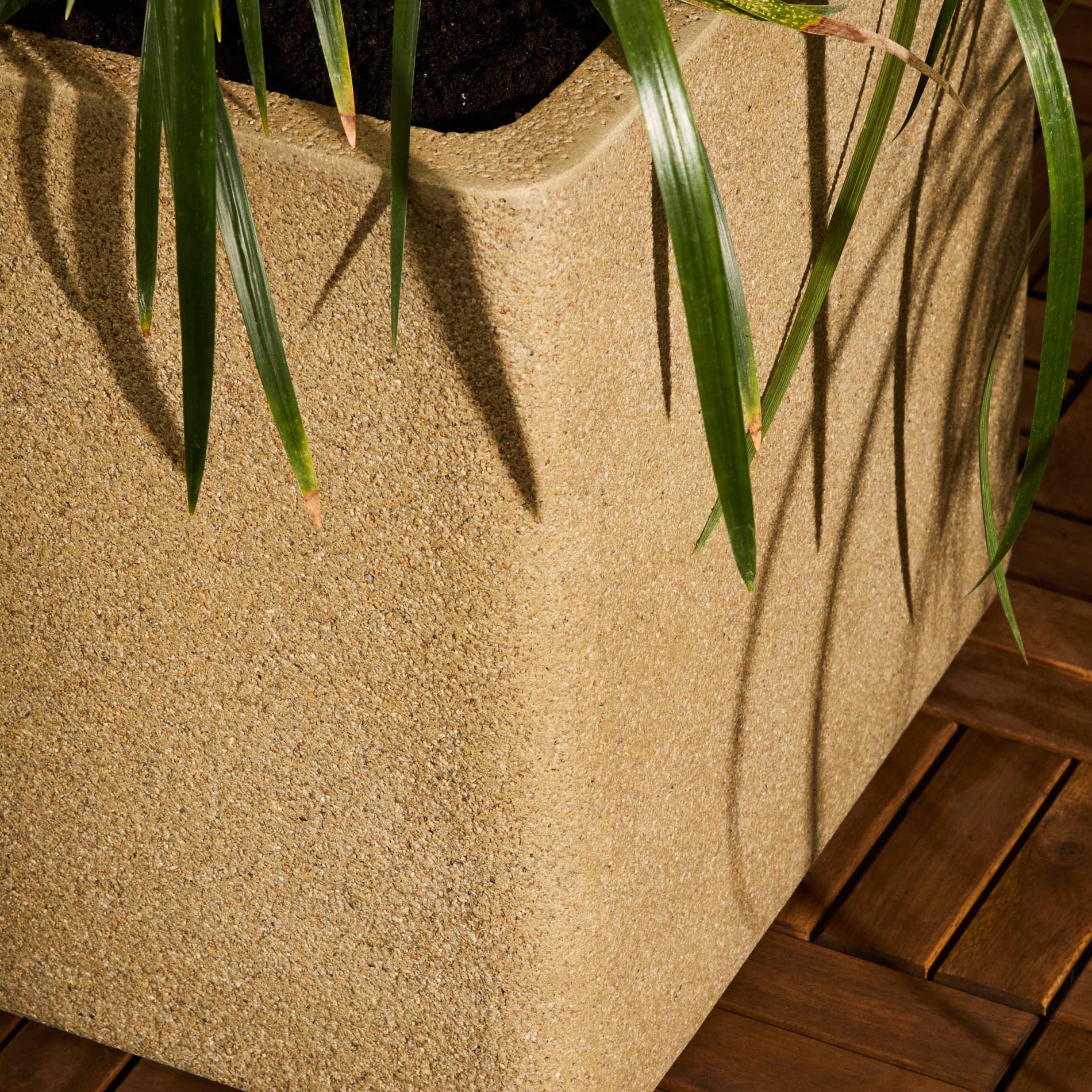 Vasos Minosa, polystone, 44x44, (Conj.2) Vaso de planta bege com folhas verdes em piso de madeira