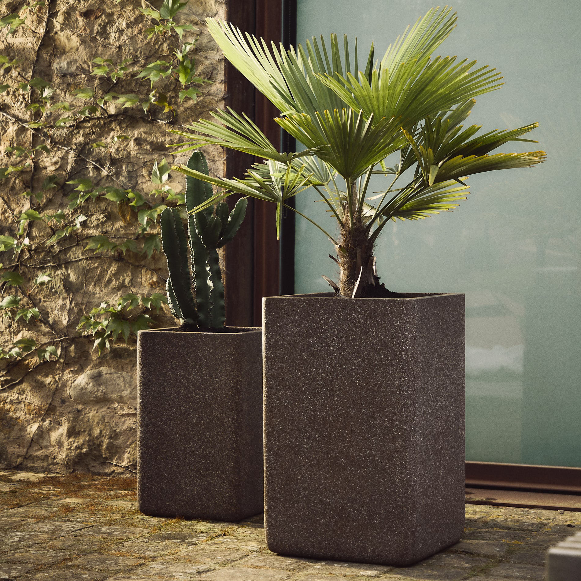 Vasos Minosa, polystone, 44x70, (Conj.2) Dois vasos quadrados cinzentos com plantas verdes numa área exterior junto a uma parede de pedra e janela.