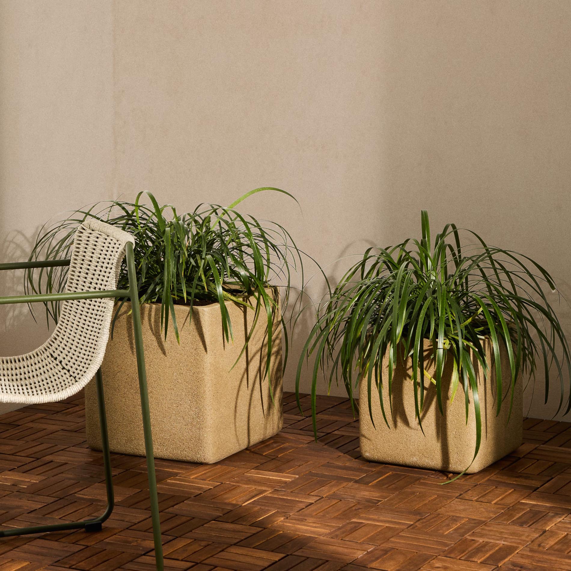Vasos Minosa, polystone, 44x44, (Conj.2) Plantas em vasos quadrados bege com cadeira metálica e assento branco trançado
