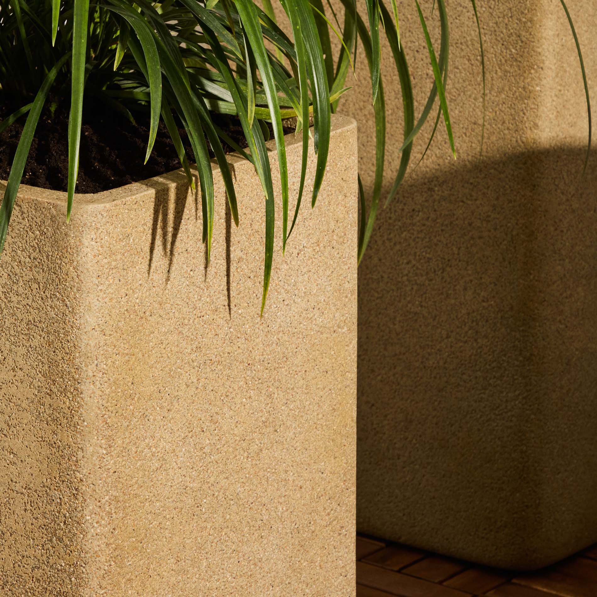 Vasos Minosa, polystone, 44x70, (Conj.2) Vaso de planta quadrado bege com folhas verdes em chão de madeira