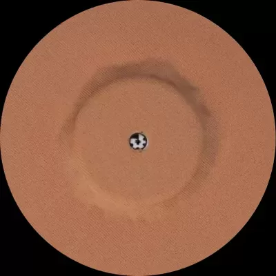 Disco de vinil cor de cobre com círculo central preto e branco