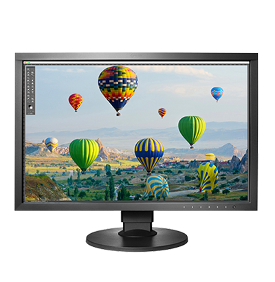EIZO CS2410 - 24.1