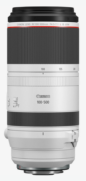 Canon RF 100-500 mm f:4.5-7.1L IS USM
