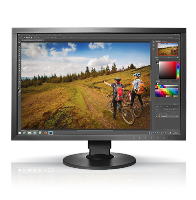 EIZO CS2420 - 24.1