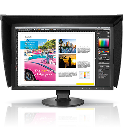 EIZO ColorEdge CG2400S - 24.1