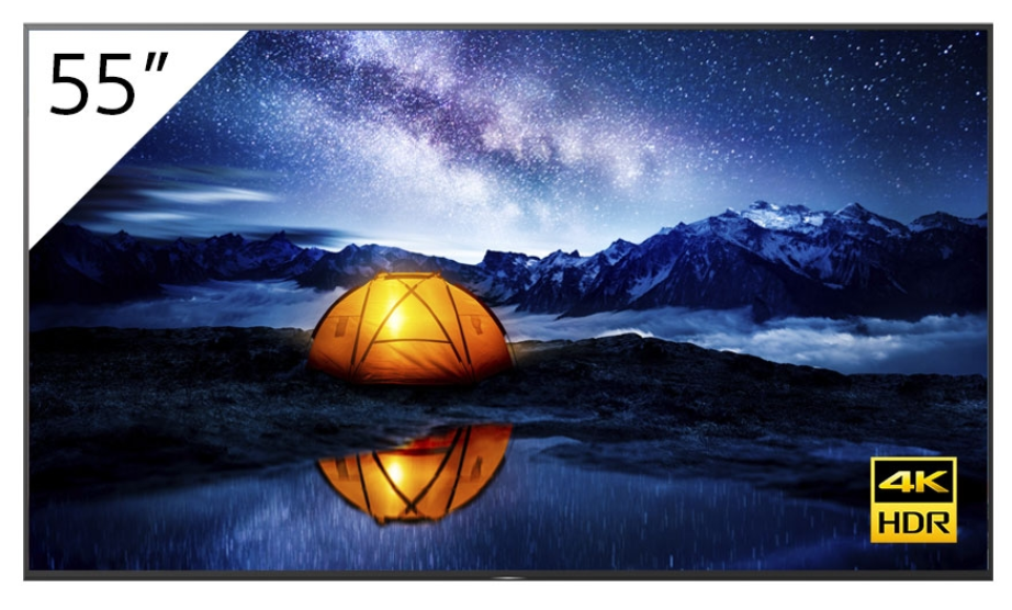 Sony 65'' 4K 24/7 Professional BRAVIA without Tuner