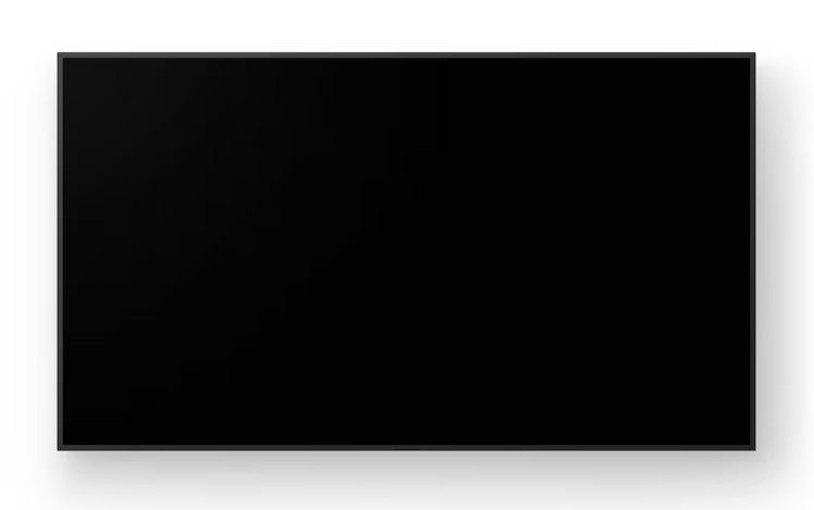 Sony BRAVIA BZ40L Series 55