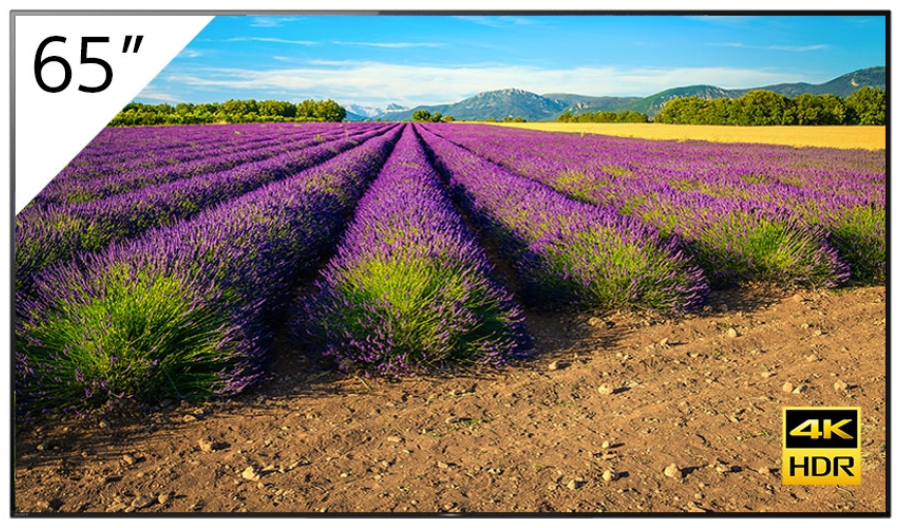 4K 65