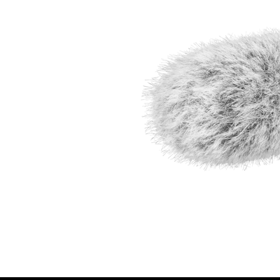 Sony Adapter Kit and Microphone XLRK2M