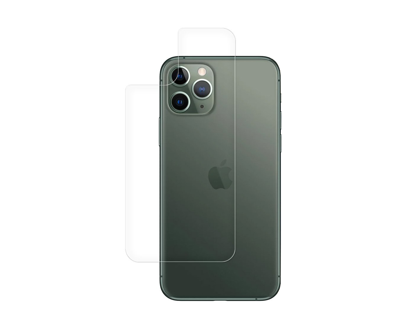 Películas de Protecção Traseira em Vidro Temperado para iPhone 11 Pro iPhone verde escuro com vidro temperado transparente sobre fundo branco