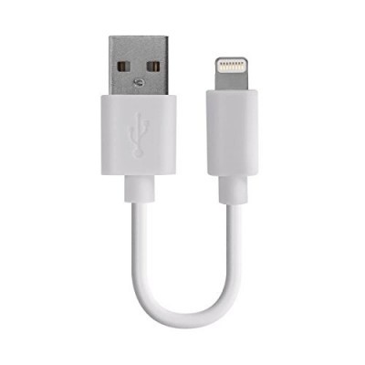 Cabo USB branco curto com conector USB padrão e Lightning
