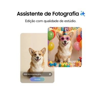 Texto Assistente de Fotografia com fotos de cão Corgi em fundo bege e em festa de aniversário