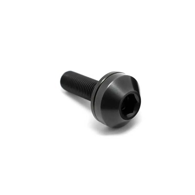 Parafuso preto com cabeça redonda e sextavada com anel prateado em fundo branco