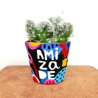 Vaso cerâmico colorido com cacto verde com pêlos brancos sobre superfície castanha.