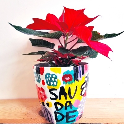 Vaso decorativo colorido com planta de folhas vermelhas e verdes em superfície de madeira