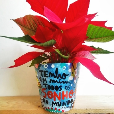 Vaso de cerâmica pintado com planta de folhas vermelhas e verdes sobre madeira clara