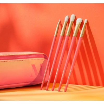 Conjunto de pincéis de maquilhagem cor-de-rosa com estojo cor-de-rosa