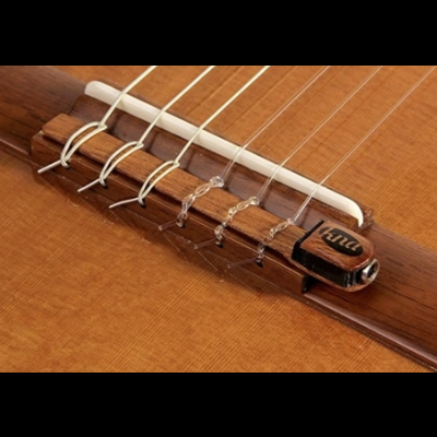 Ponte de guitarra acústica em madeira com cordas brancas e gravação tara.
