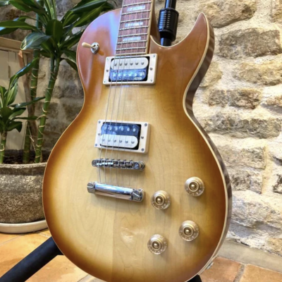 Guitarra elétrica castanha clara com dois captadores e quatro botões sobre suporte com parede de pedra e planta ao fundo
