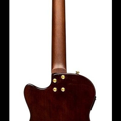 Guitarra elétrica de madeira escura vista de costas com fundo branco