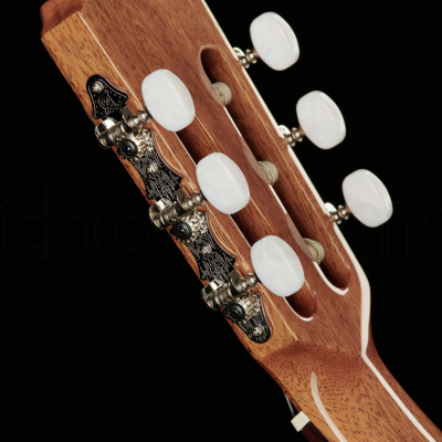 Cabeça de guitarra clássica em madeira castanha com cravelhas brancas