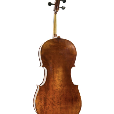Violoncelo castanho visto de trás