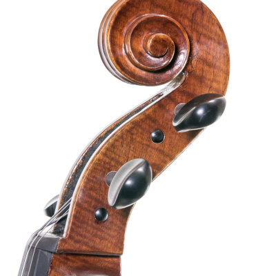 Cabeça de violino em madeira polida com cravelhas pretas