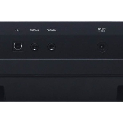 Painel traseiro com entradas USB, sustain, phones e alimentação 12V