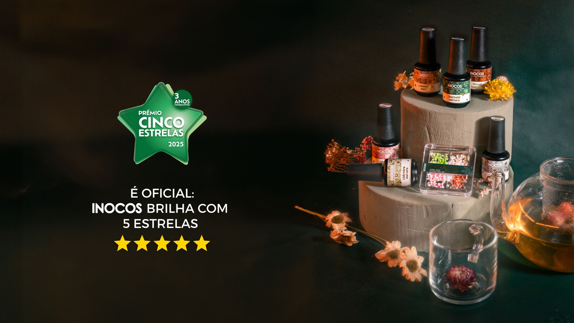 INOCOS triunfa no Prémio 5 Estrelas pelo Terceiro Ano Consecutivo 🌟