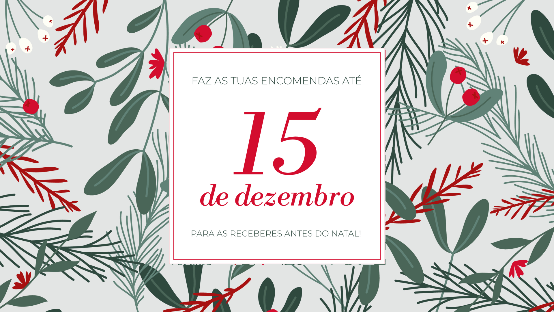 Faz as tuas encomendas até 15 de dezembro e recebe-as antes do Natal!
