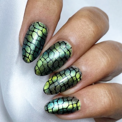 Placa de Carimbos INOCOS 02 Retro