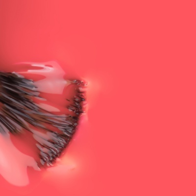 Verniz Gel INOCOS Sebastião