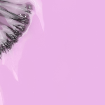 Like Gel INOCOS 169 Violeta Pastel