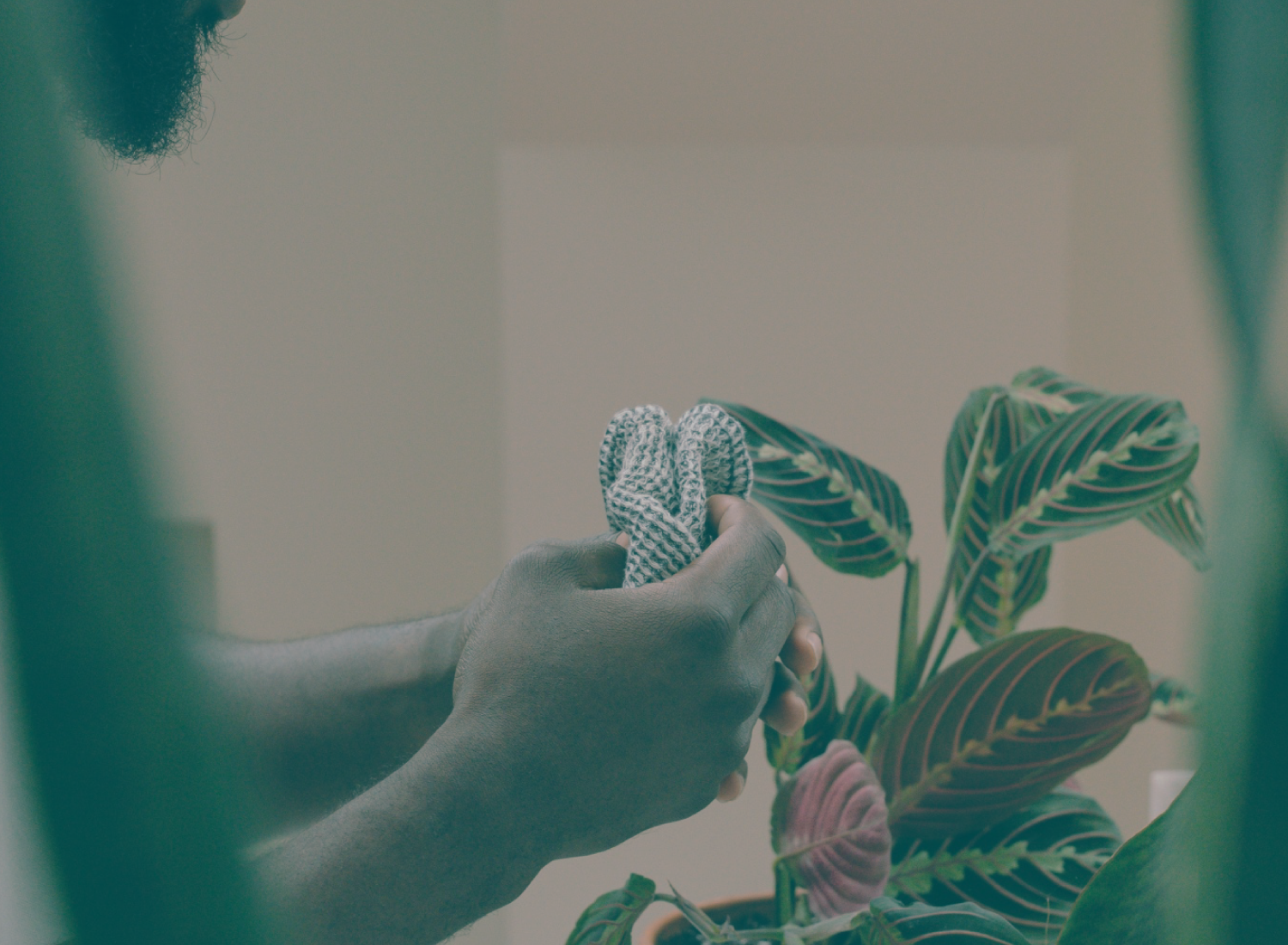 Mãos segurando uma corda branca e uma planta verde ao fundo