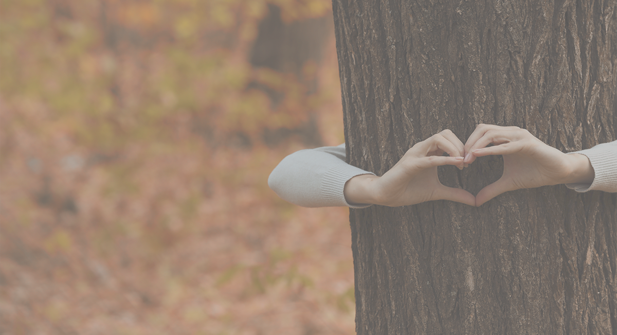 Mãos formando um coração à frente de tronco de árvore