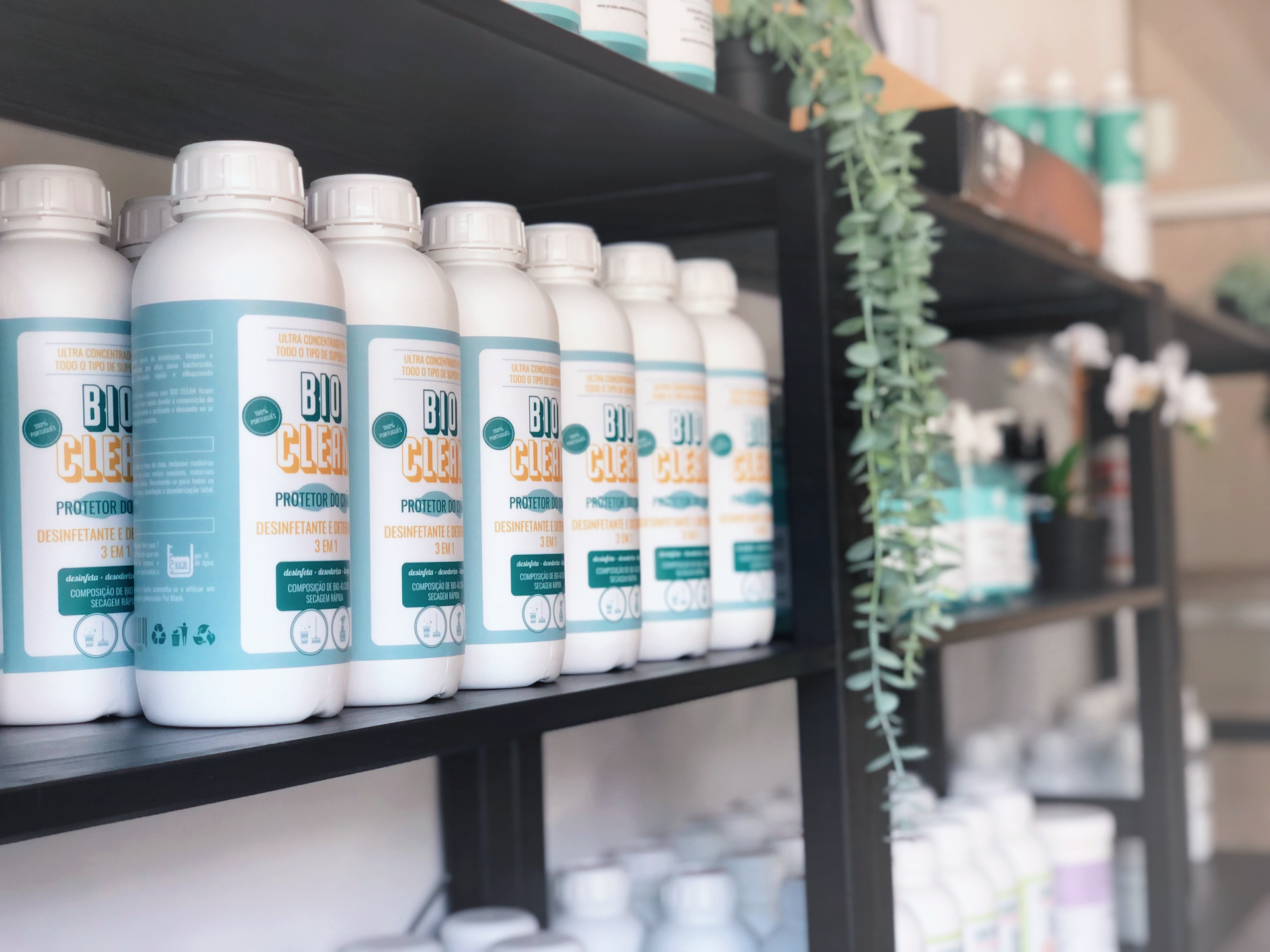 Frascos brancos com rótulos 'BIO CLEAN' em prateleiras pretas com plantas artificiais.