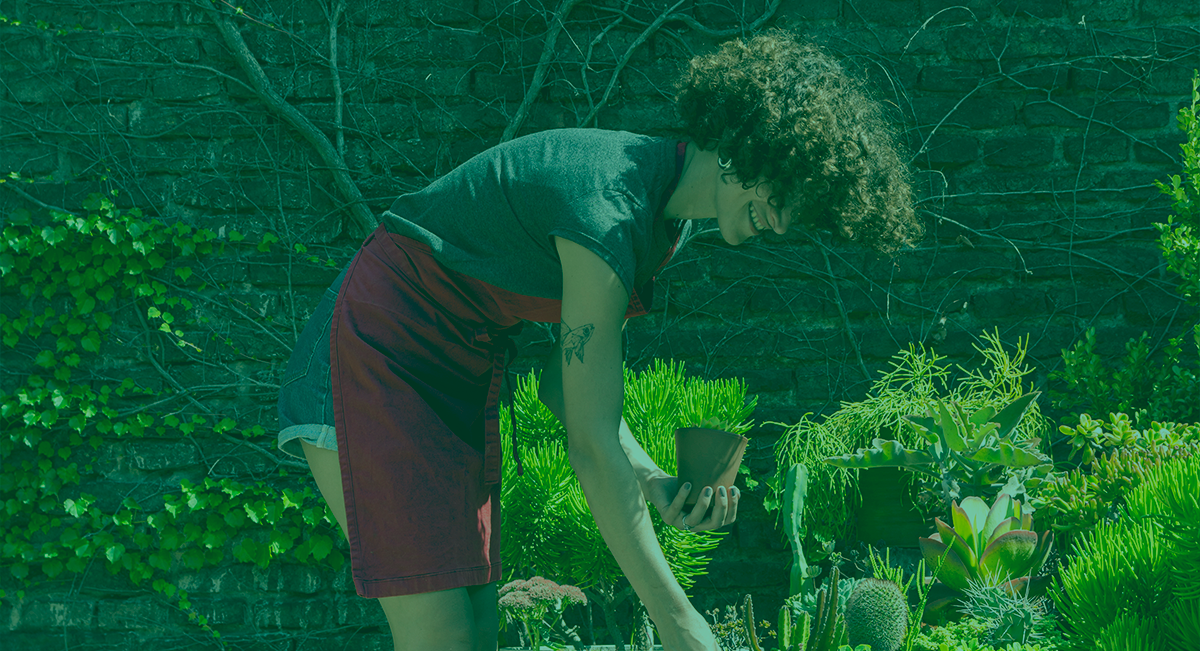 5 Truques de limpeza essenciais para o teu verão! Não podes perder! Pessoa cuidando de plantas verdes em vasos num jardim com parede de tijolos escuros