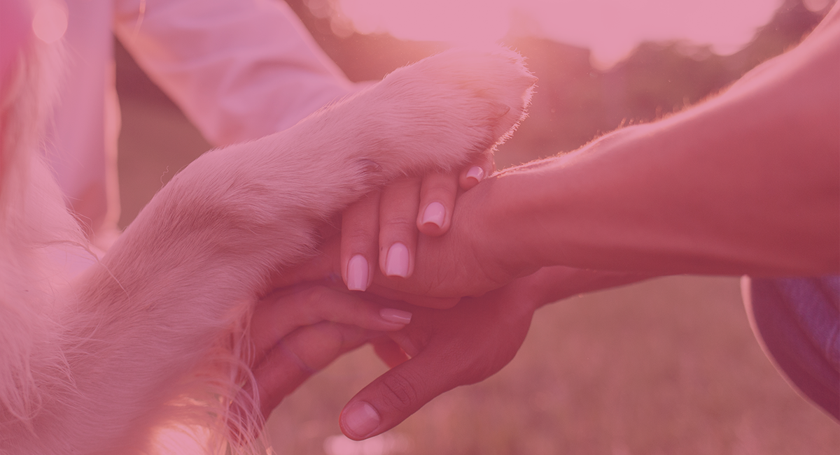Mãos humanas e pata de cão empilhadas em ambiente exterior