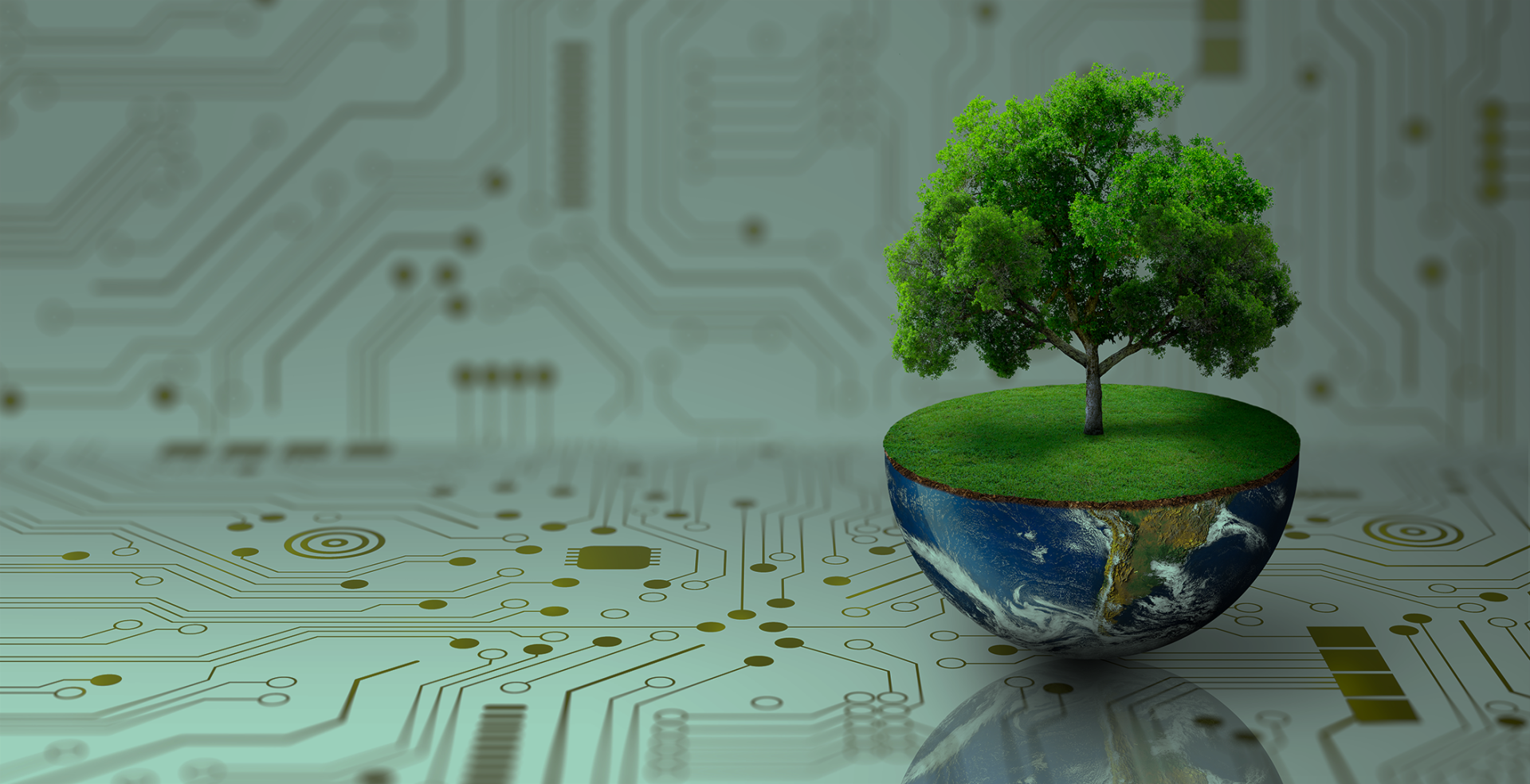Globo terrestre com superfície verde e árvore em cima, sobre fundo de circuito eletrônico.